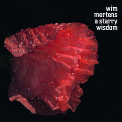 Cover of A Starry Wisdom