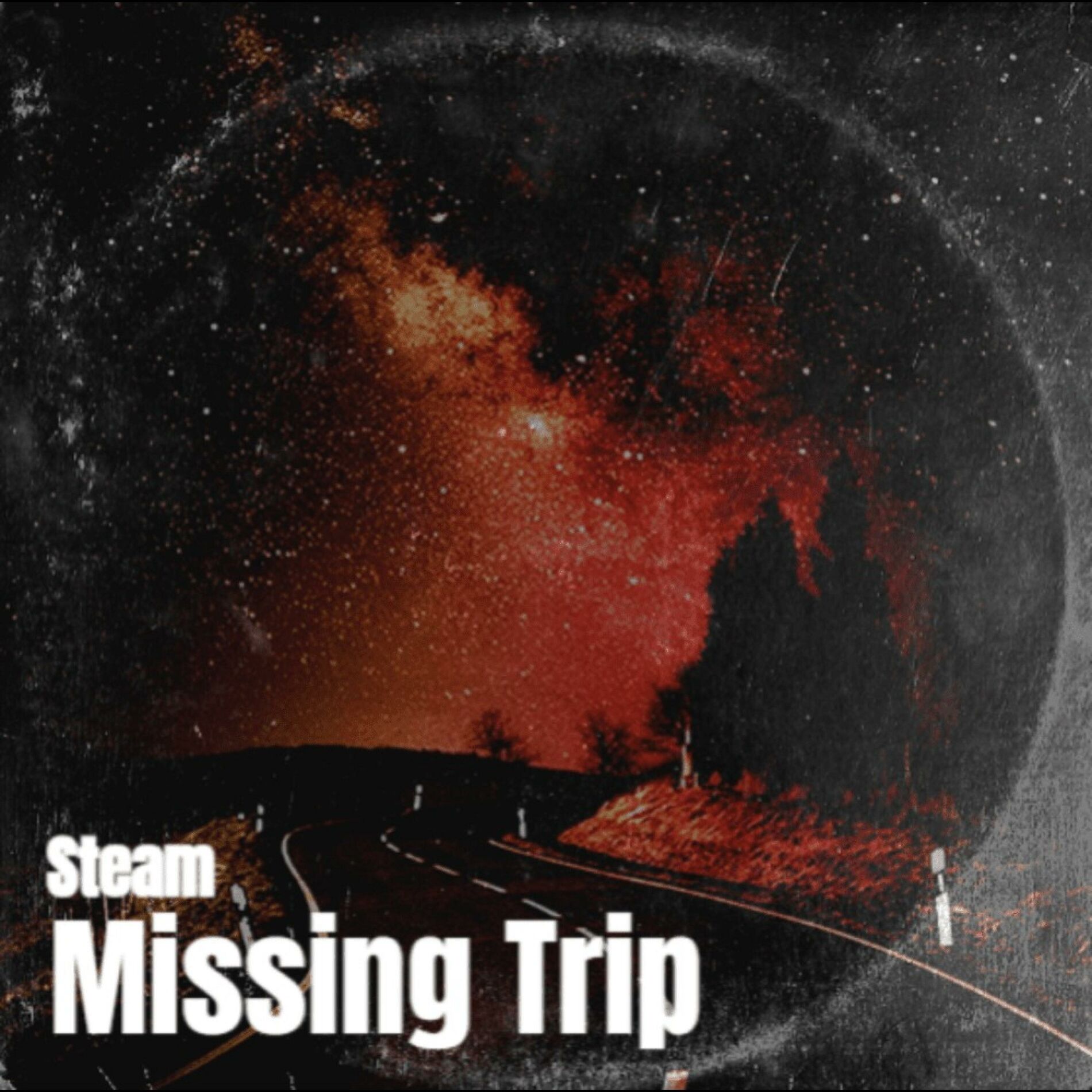 Album cover of Missing Trip