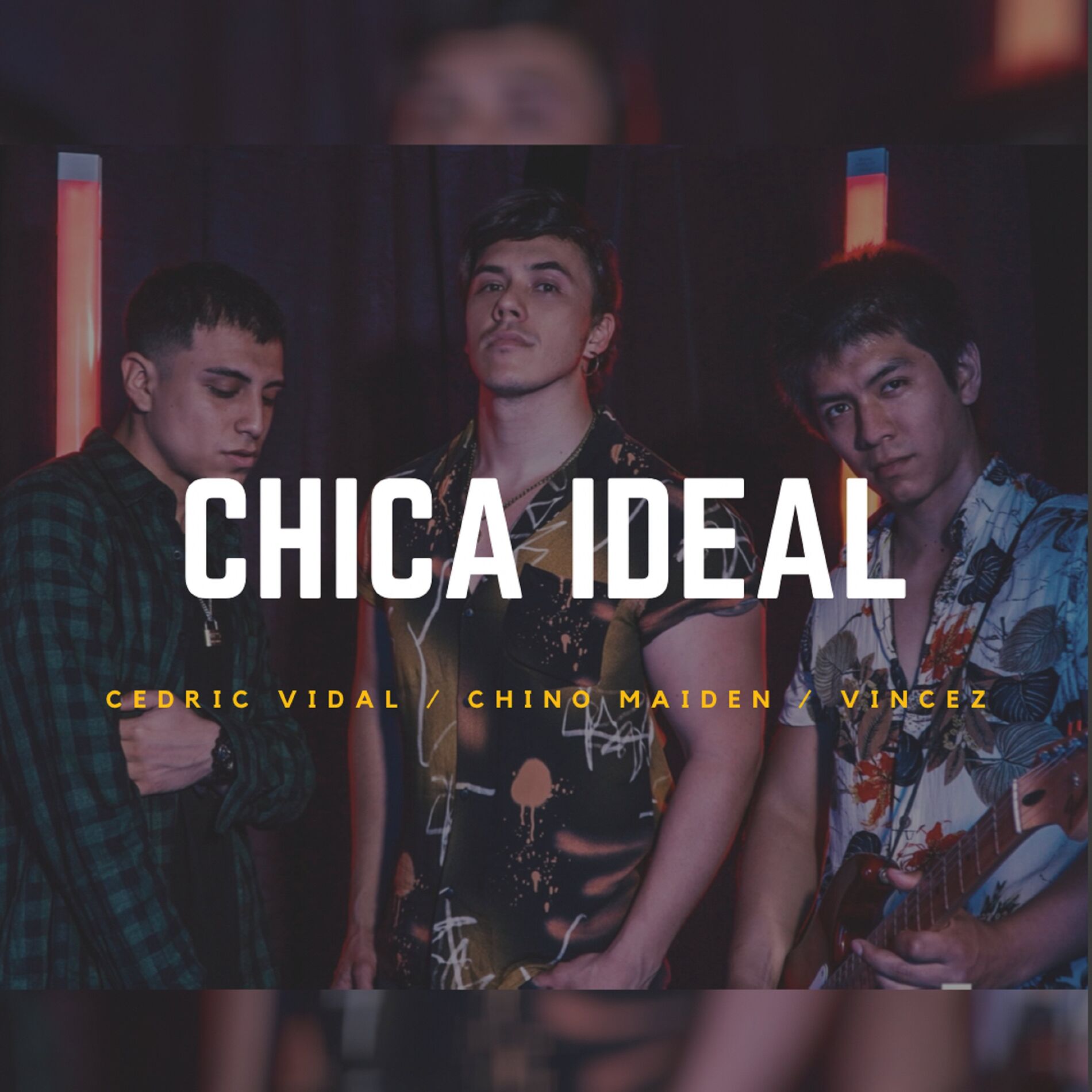 Album cover of Chica Ideal