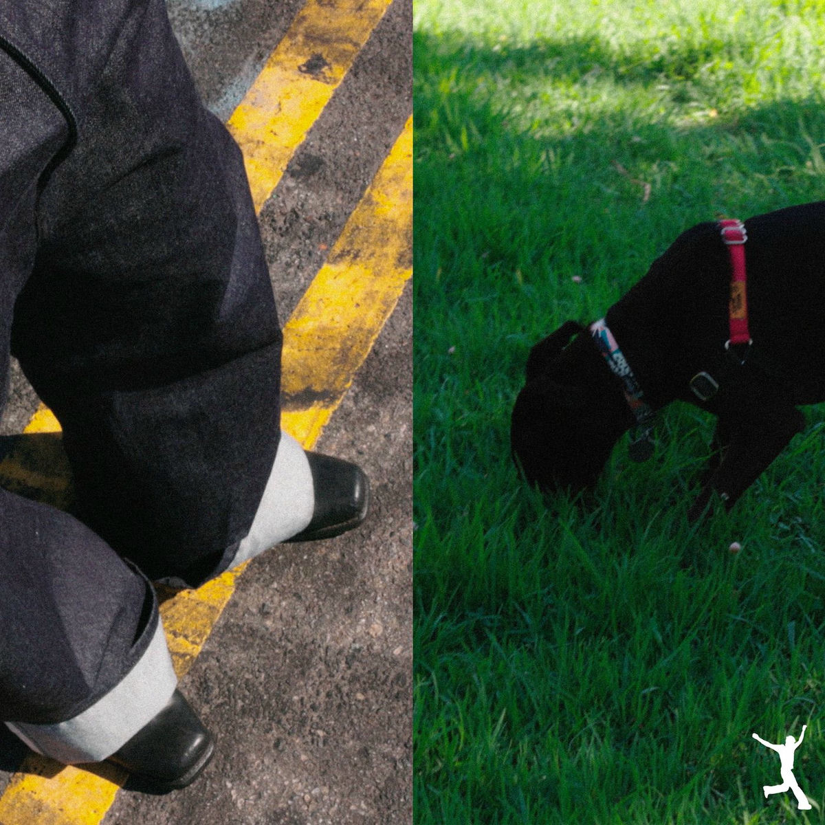 Album cover of cuando baje el sol