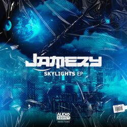Cover of Skylights