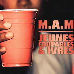 Jeunes, Coupables & Ivres