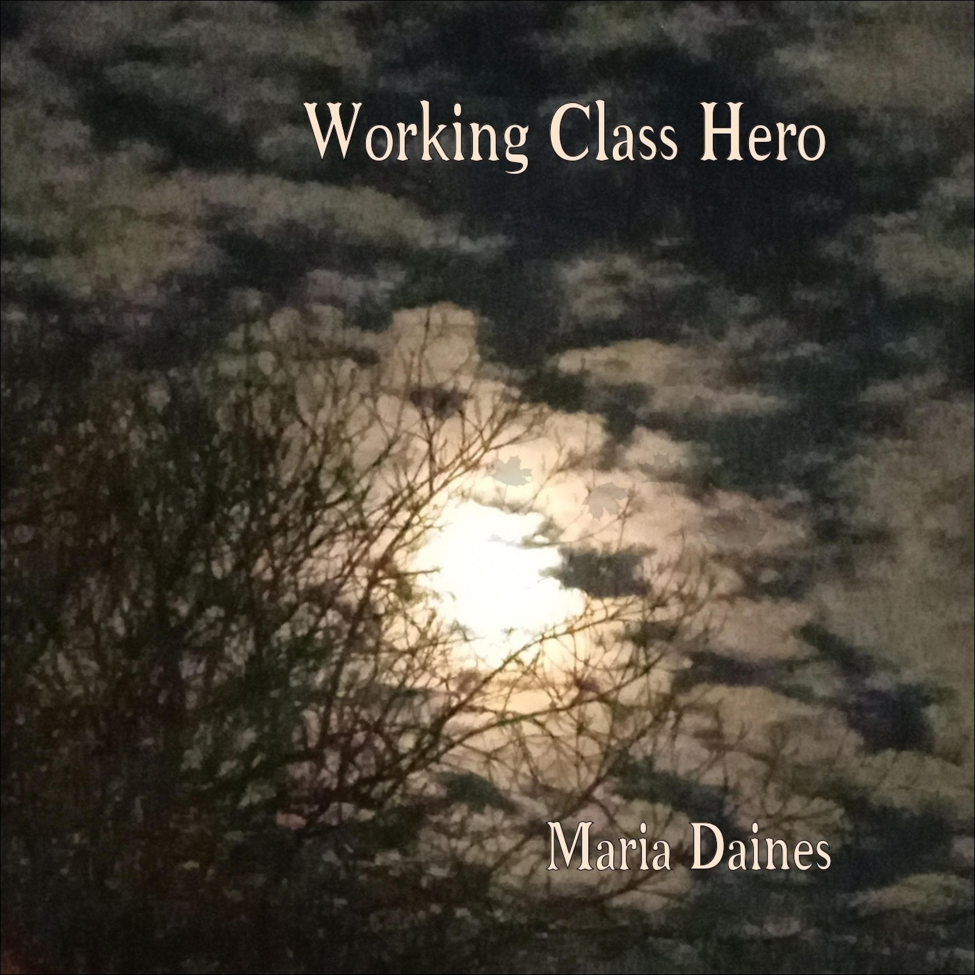 Album cover of Working Class Hero