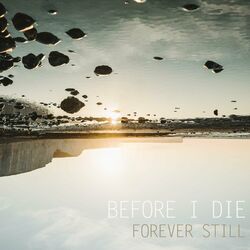 Cover of Before I Die