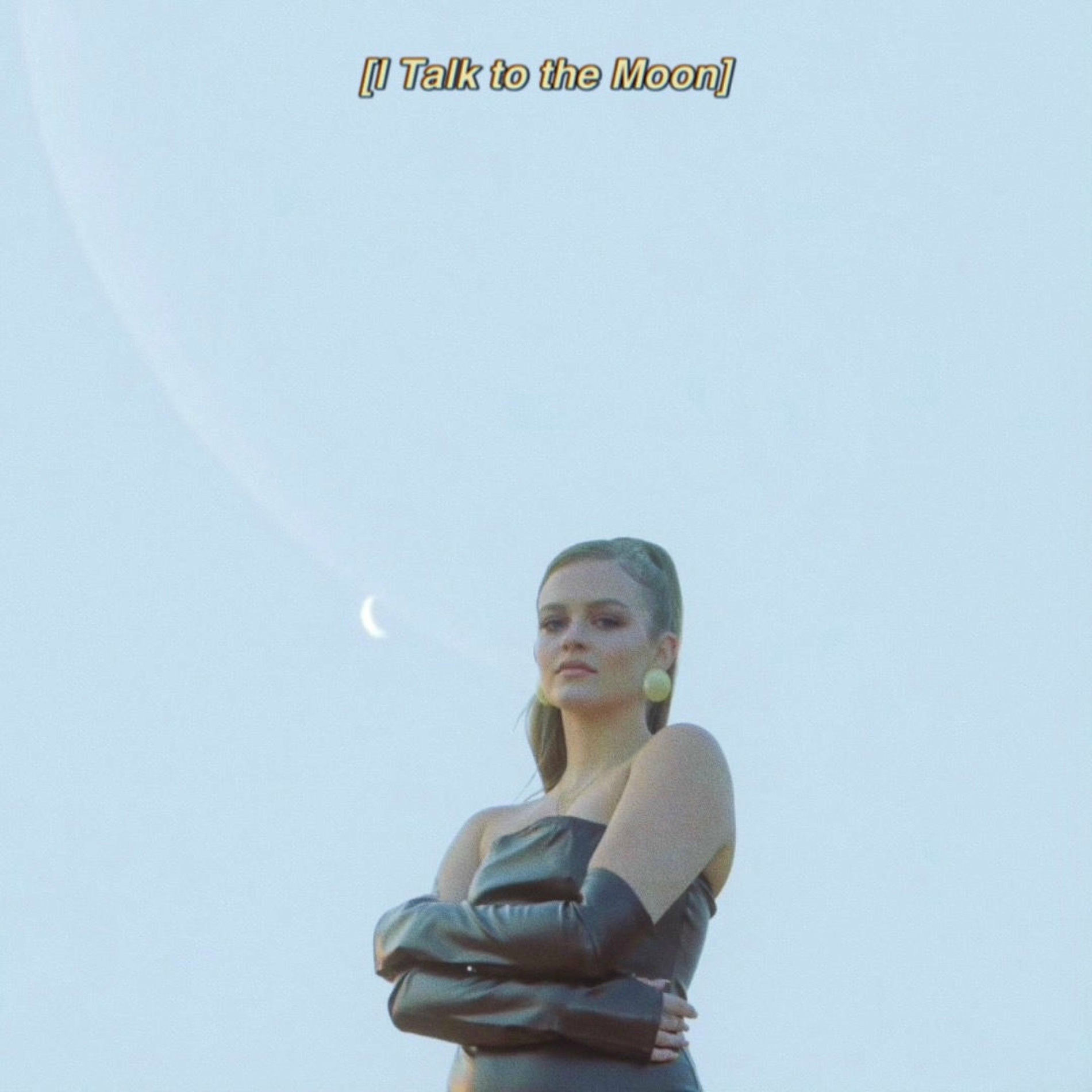 Album cover of I Talk to the Moon