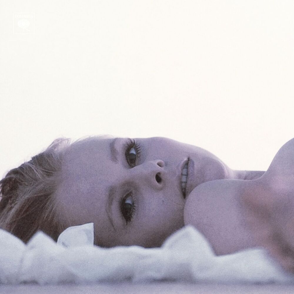 Picture of Shine a Light (Radio Edit)