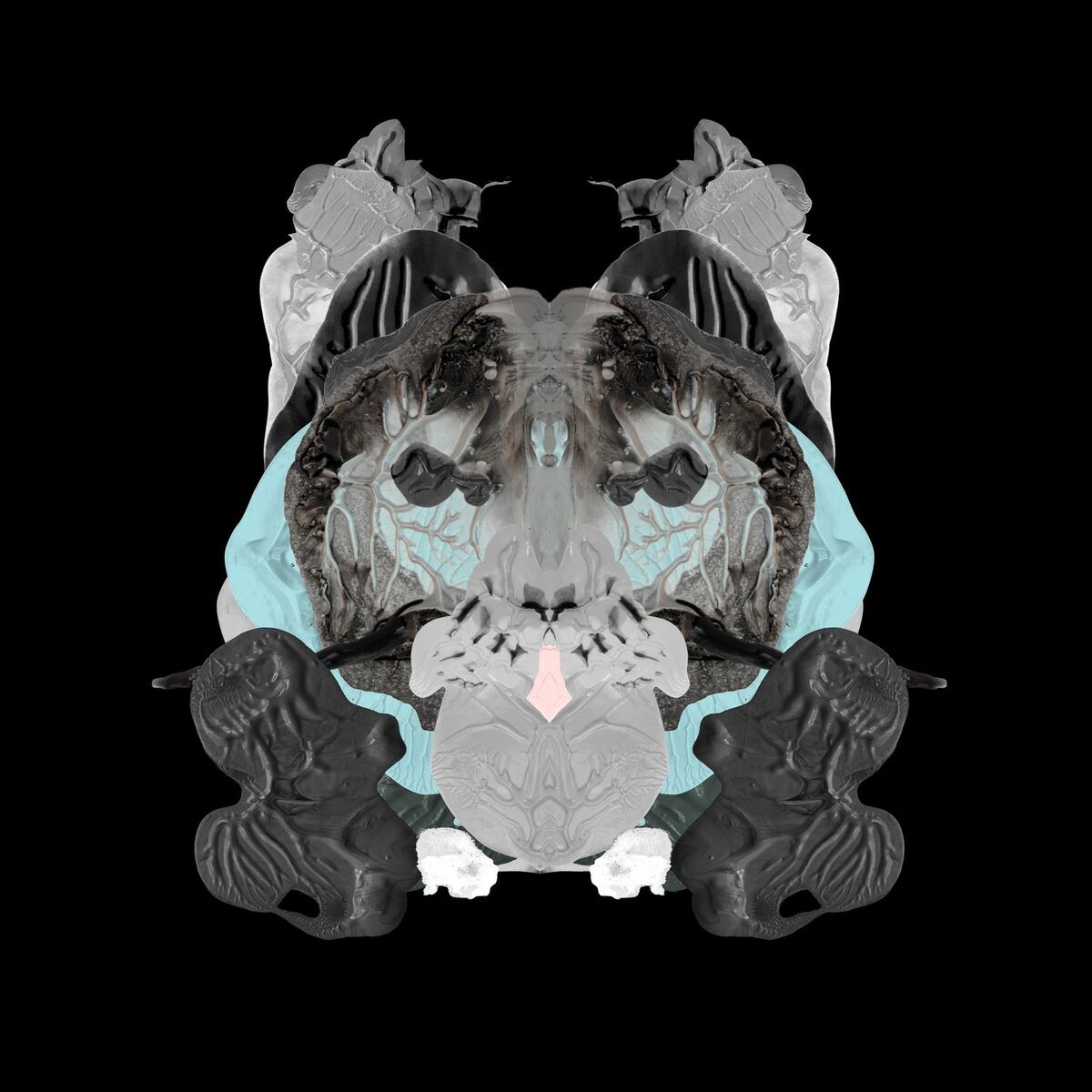 Album cover of Rorschach