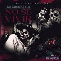Cover of No Se Vivir