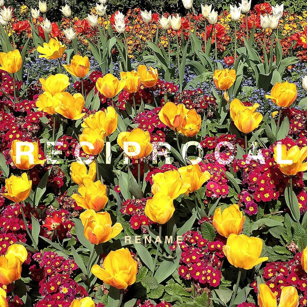 Picture of Reciprocal