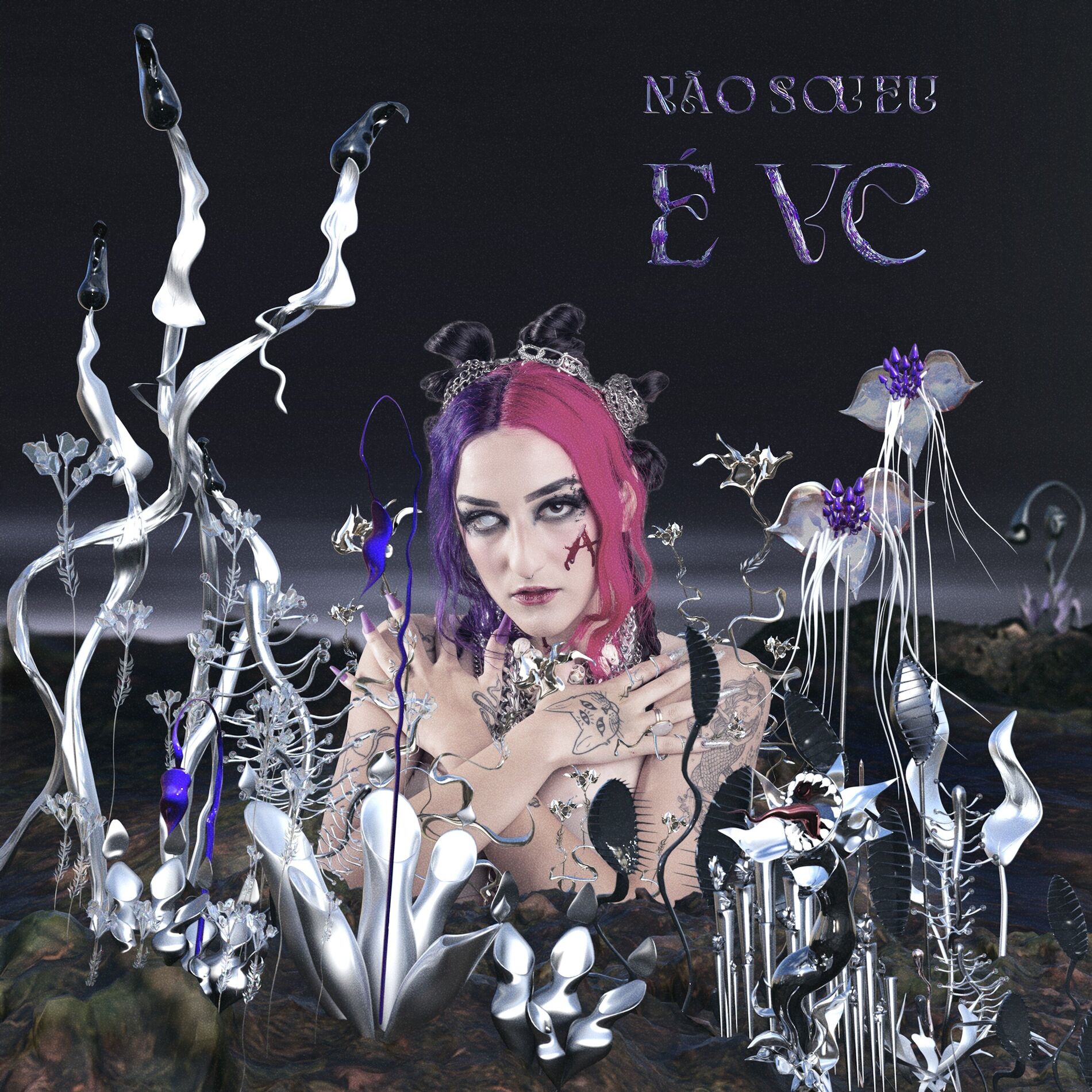 Album cover of Não sou eu, é vc