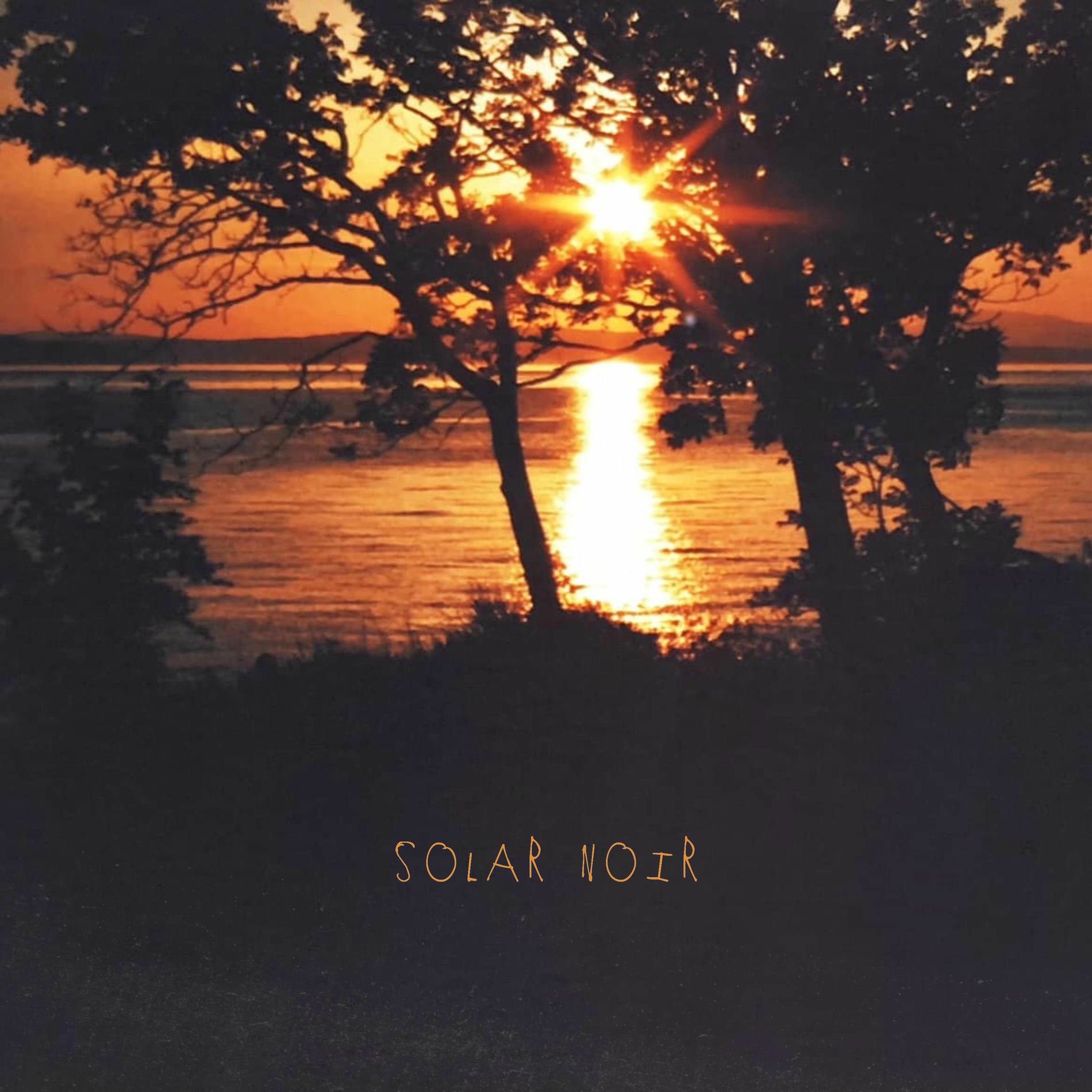 Album cover of Solar Noir