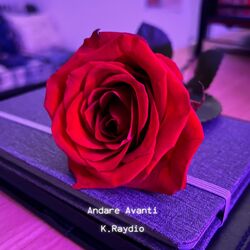Cover of Andare Avanti
