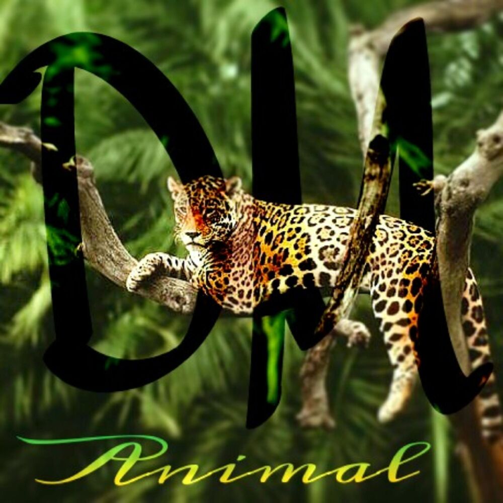 Picture of Animal