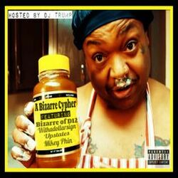 Cover of A Bizarre Cypher