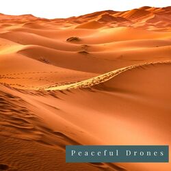 Cover of Peaceful Drones