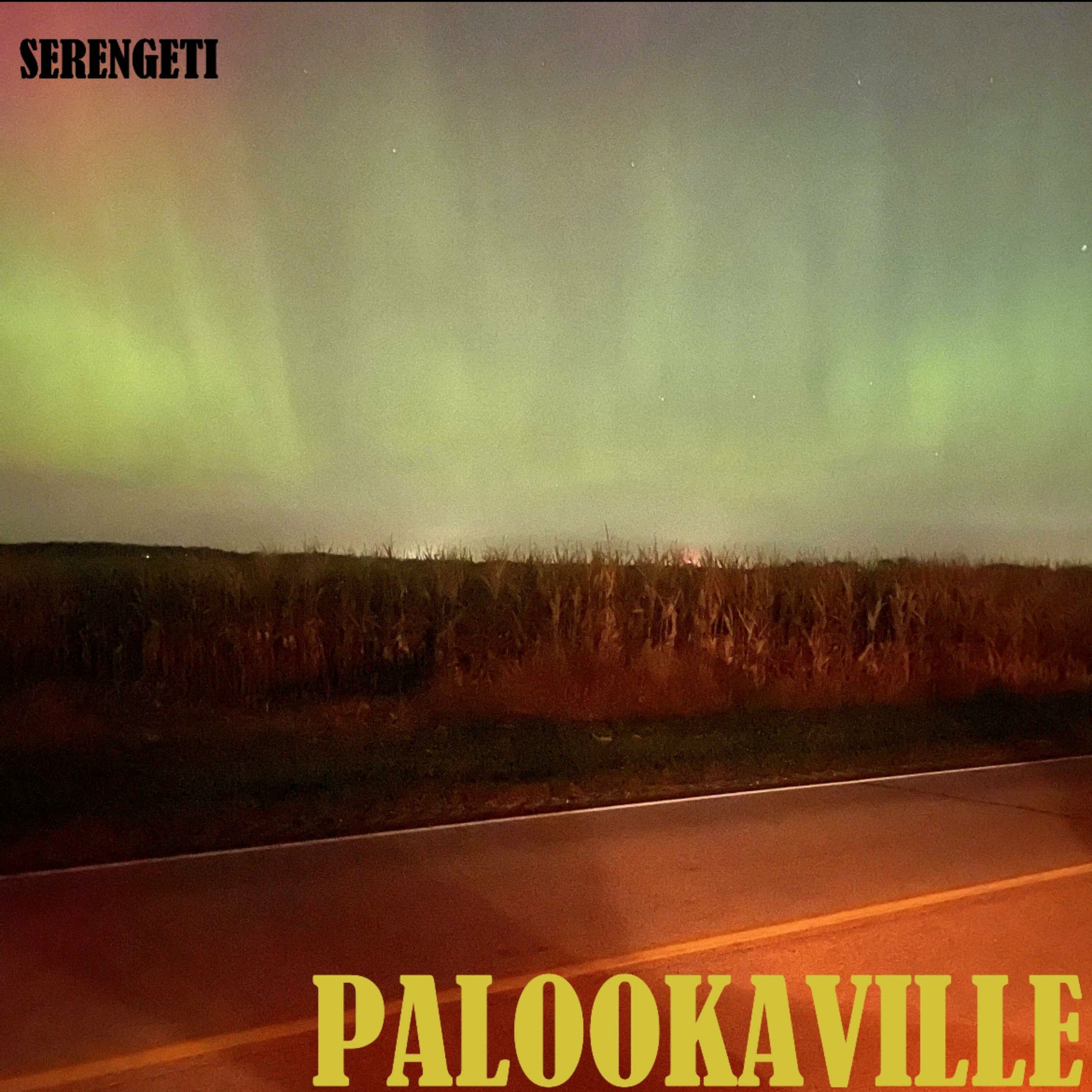 Album cover of Palookaville