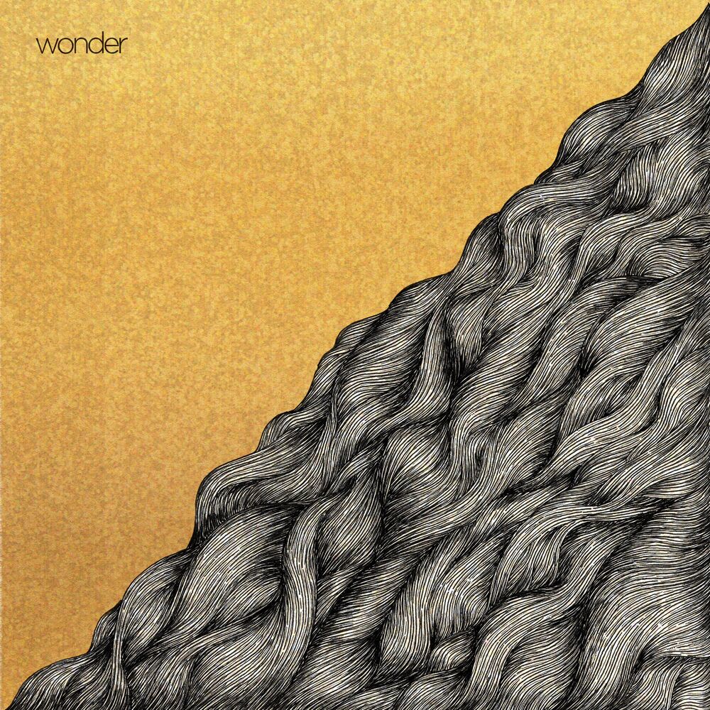 Picture of Wonder