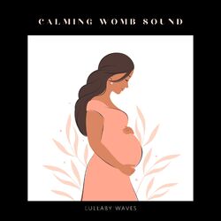Cover of Calming Womb Sound