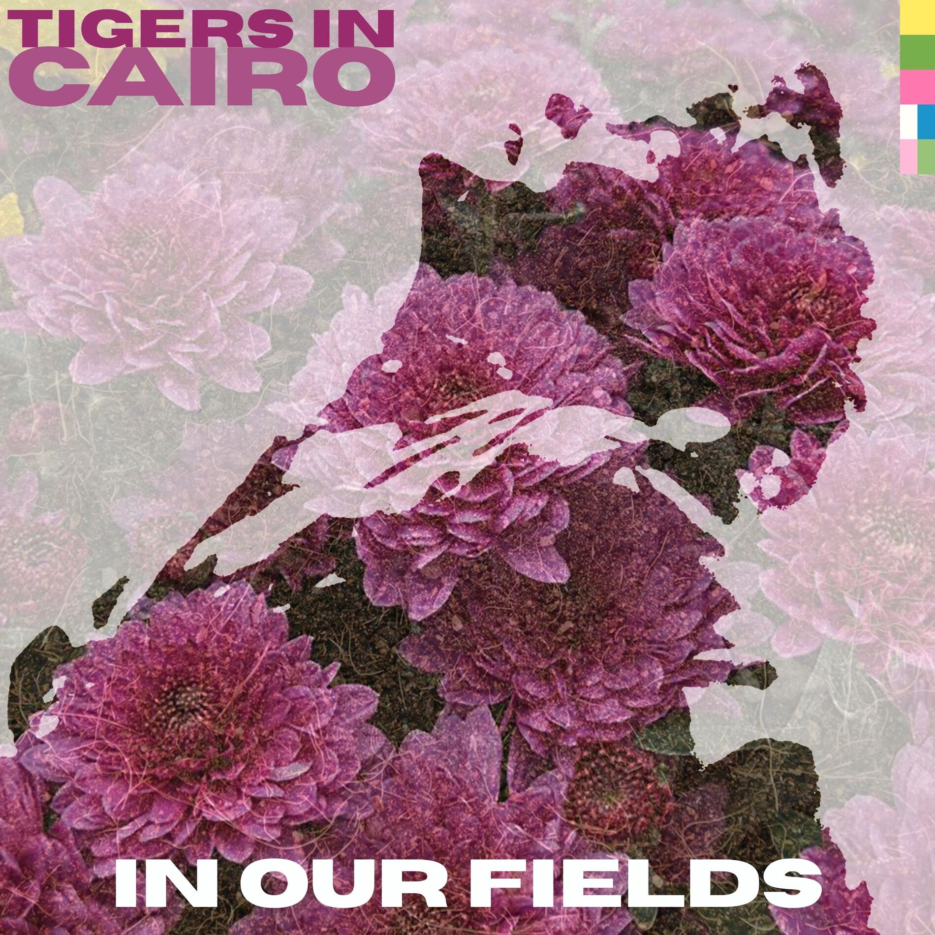 Album cover of In Our Fields