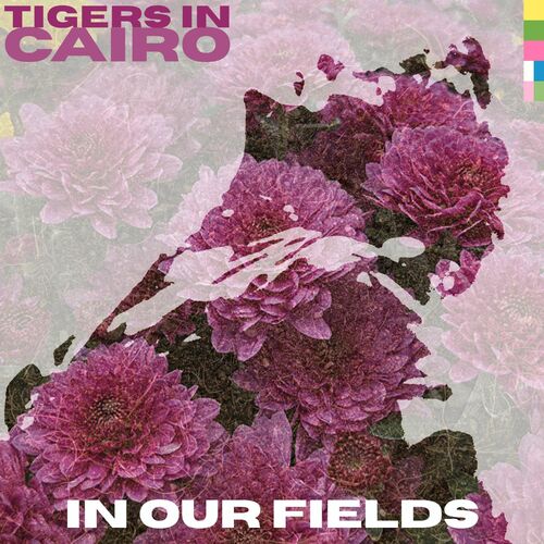 In Our Fields