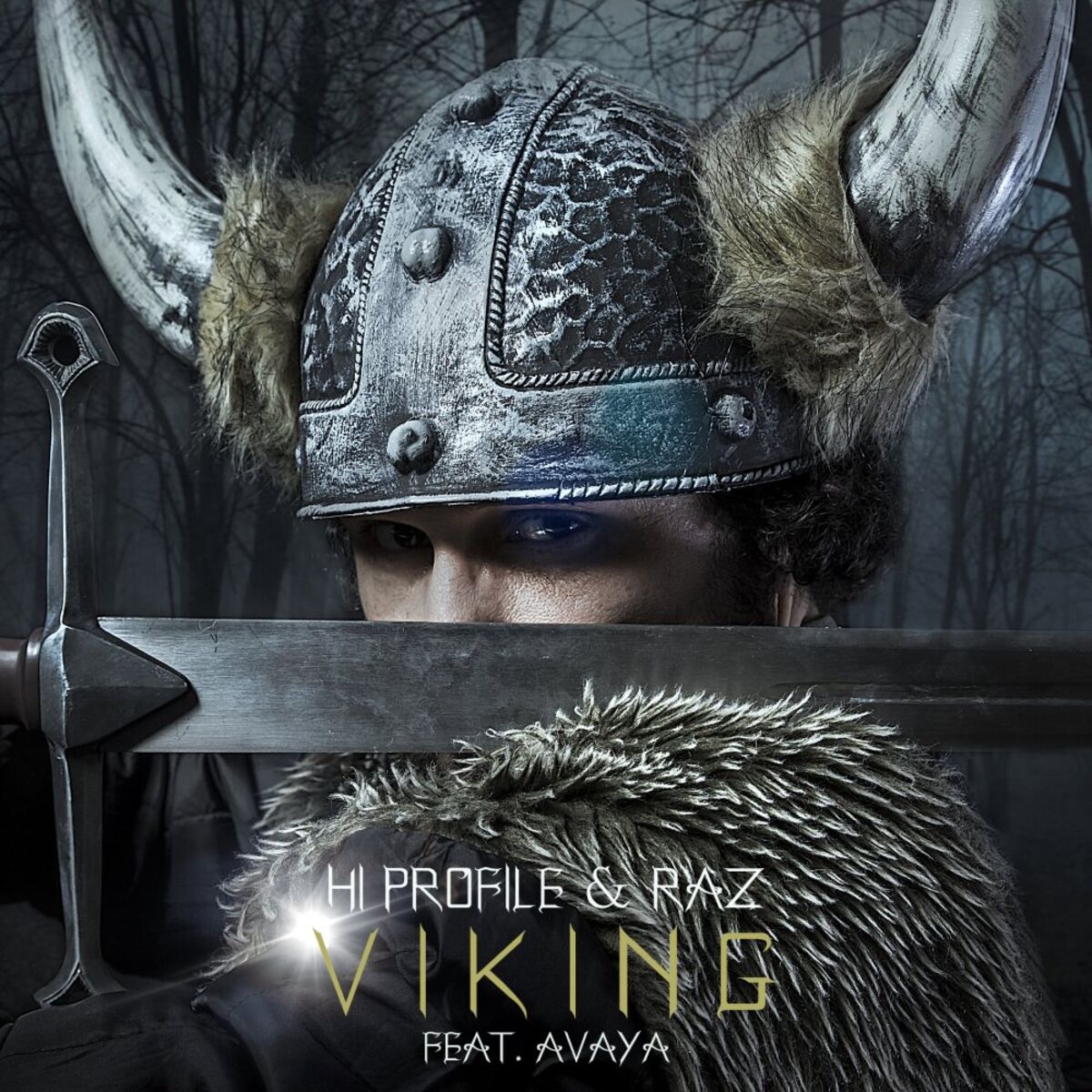 Album cover of Viking