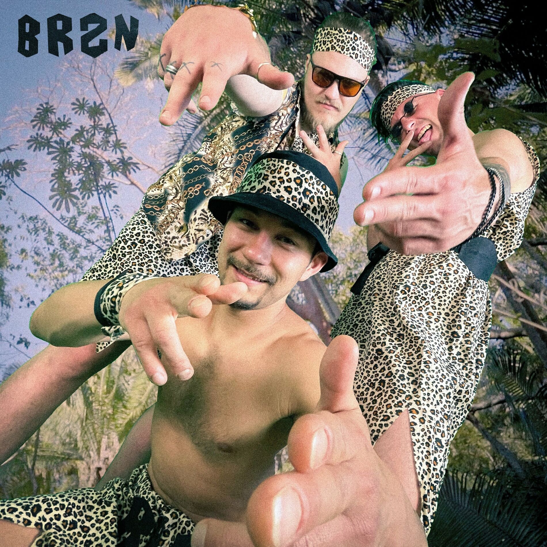 Album cover of Barzan