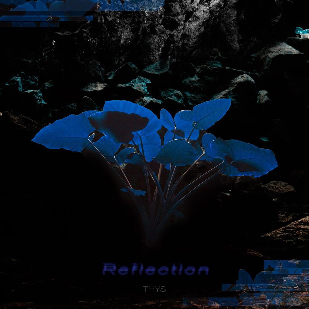Picture of Reflection