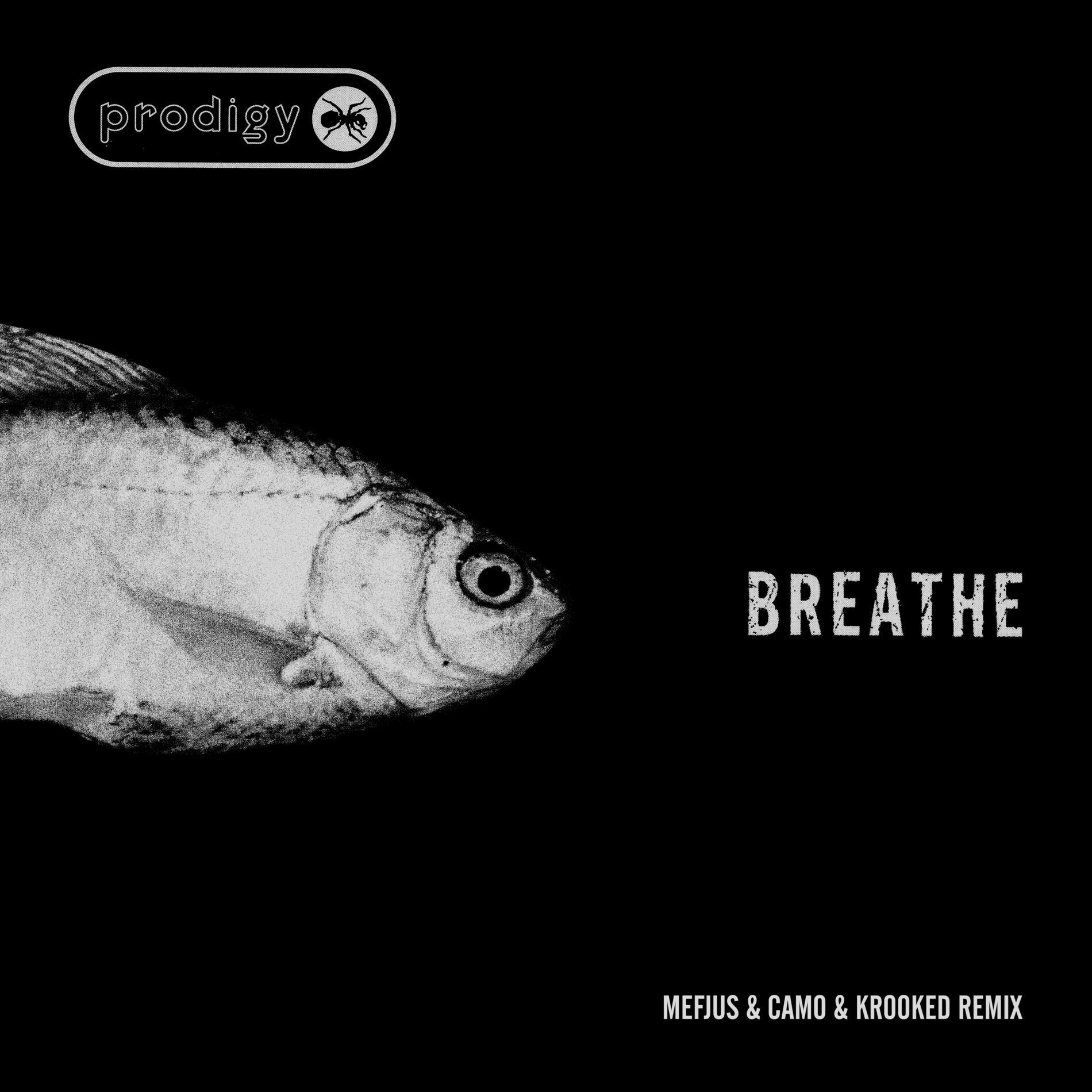 Album picture of Breathe (Mefjus & Camo & Krooked Remix)