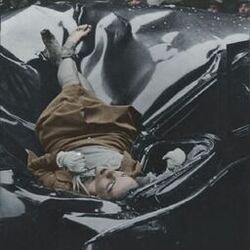 beautiful suicide