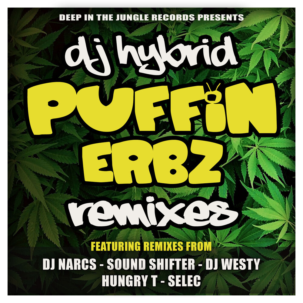 Picture of Puffin Erbz Remixes