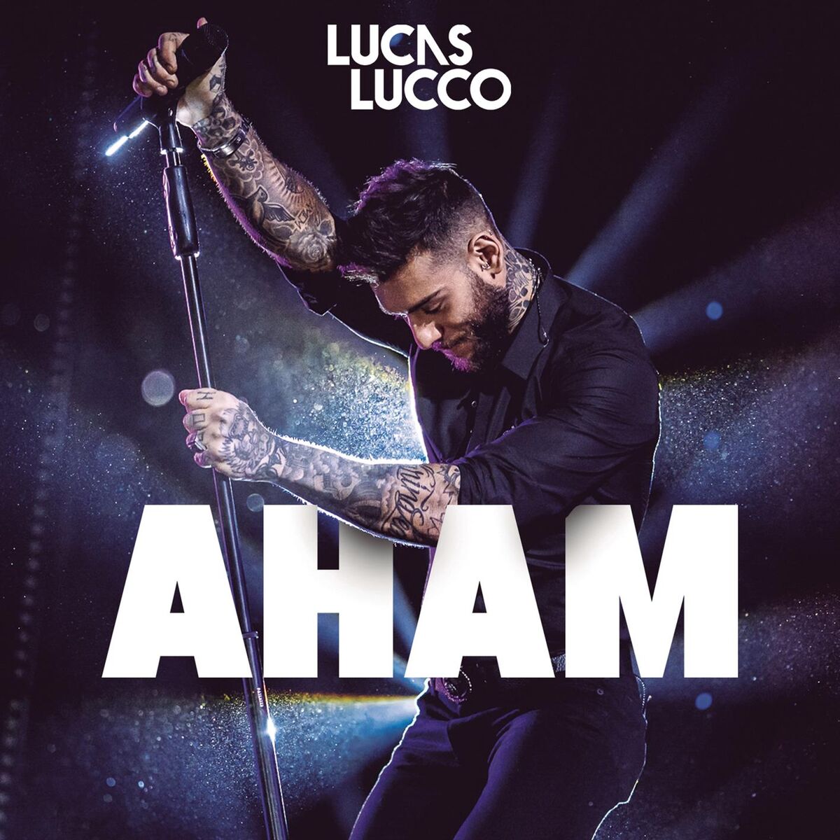 Album cover of Aham