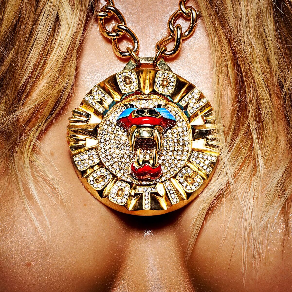 Album cover of Shine