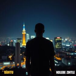 Cover of Ndlebe Zintle