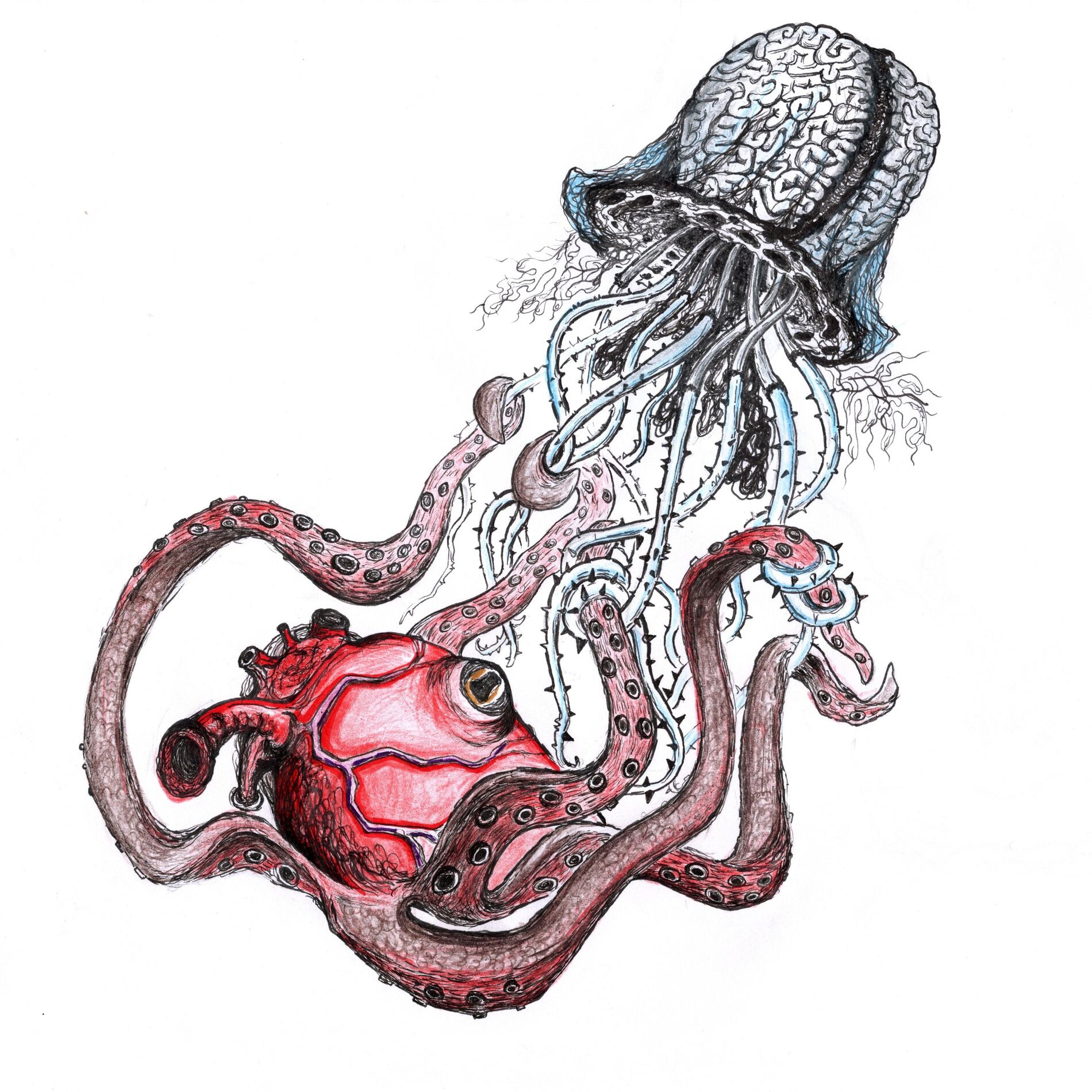Album cover of Novacane (feat. Flay)