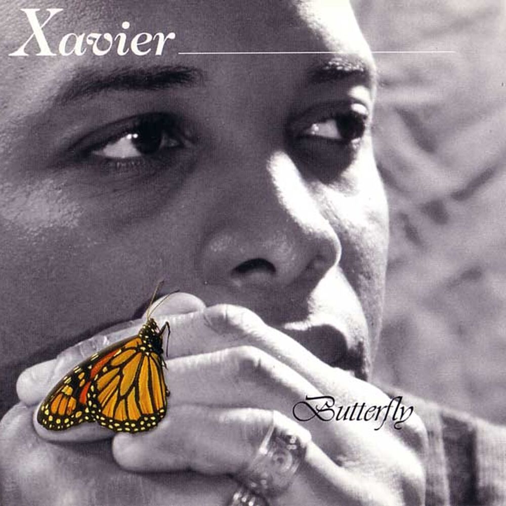 Picture of Butterfly
