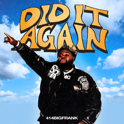 Cover of Did It Again by undefined