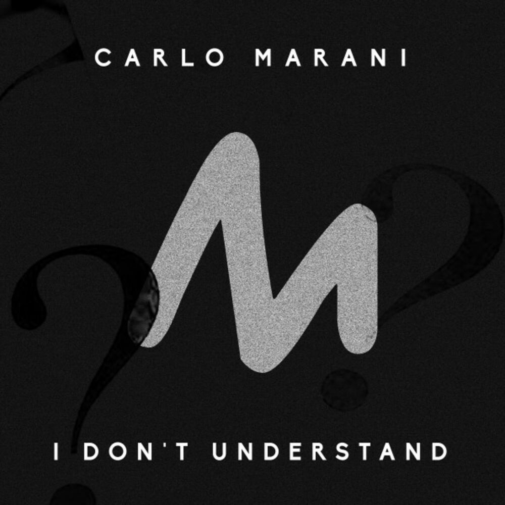 Picture of I Don't Understand