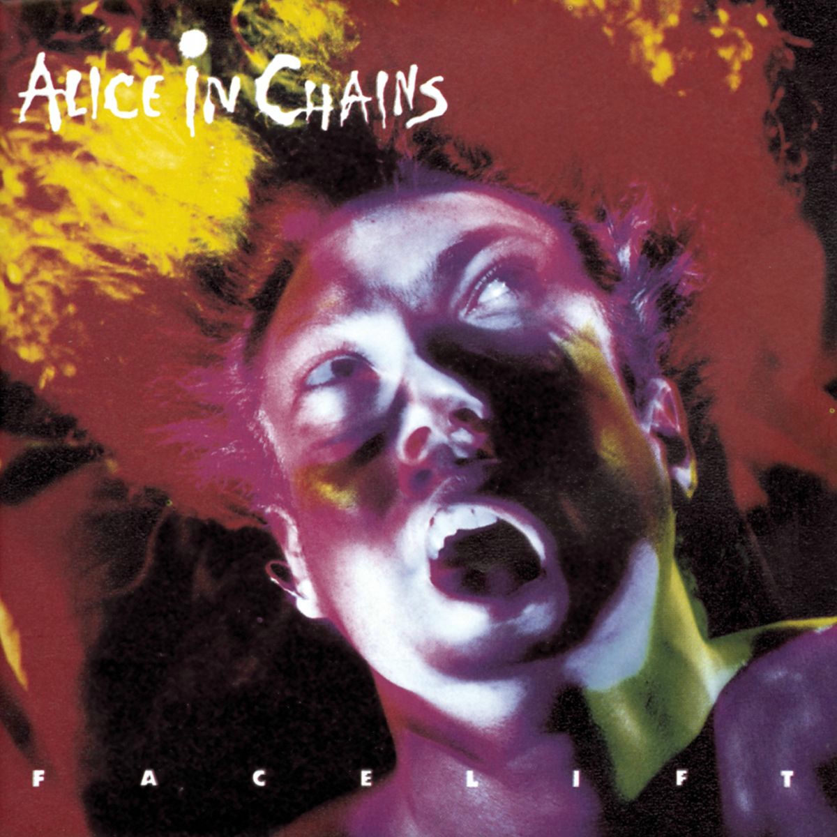 Alice In Chains - Facelift | Deezer