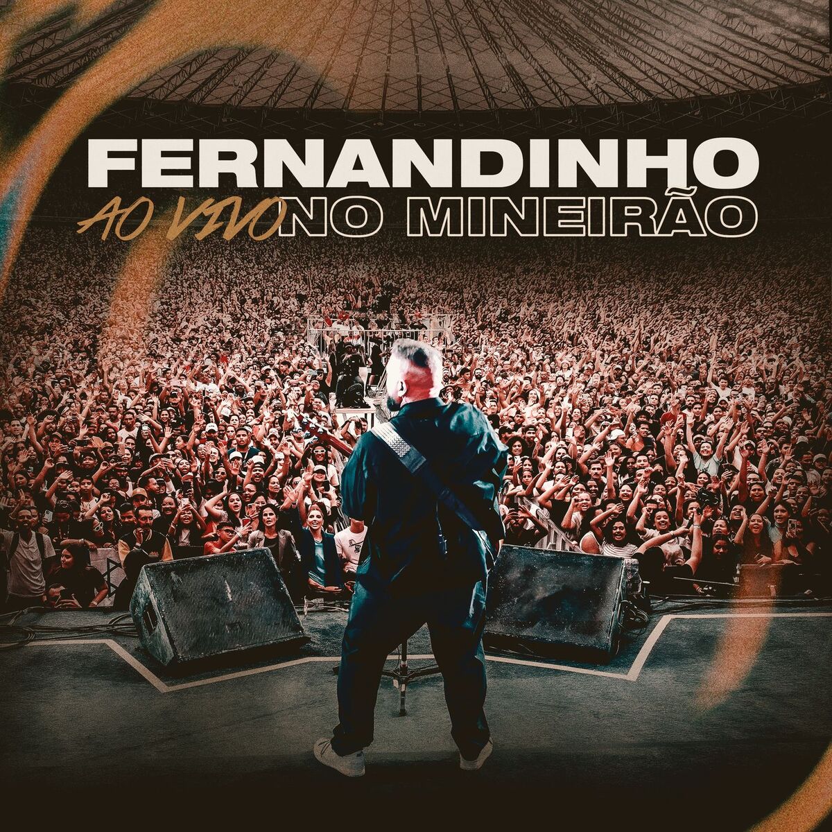 Album cover of Fernandinho (Ao Vivo no Mineirão)