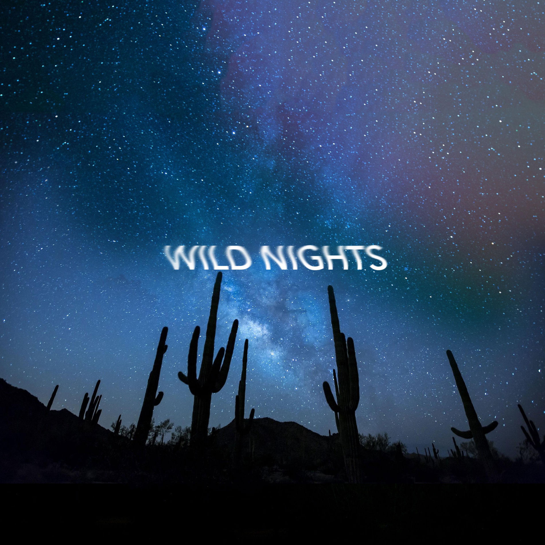Album cover of Wild Nights