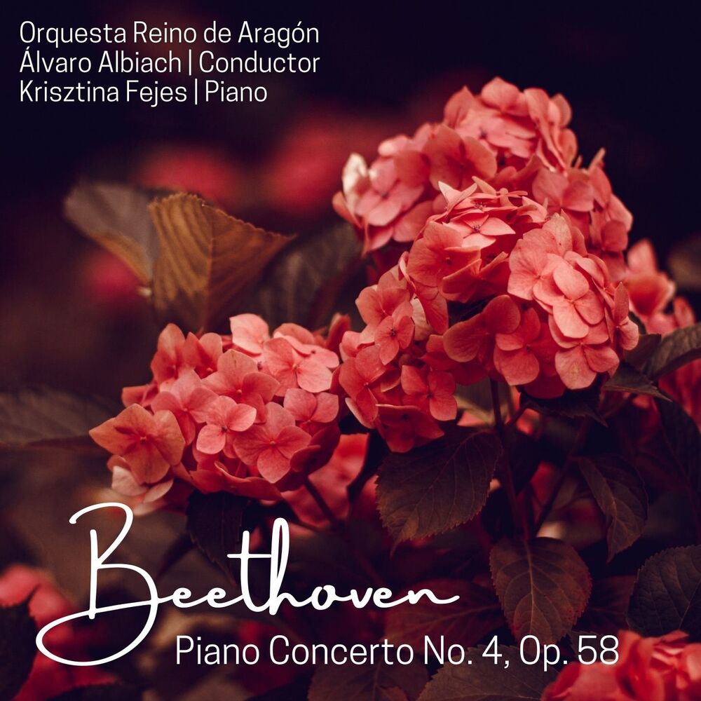 Picture of Beethoven: Piano Concerto No. 4, Op. 58