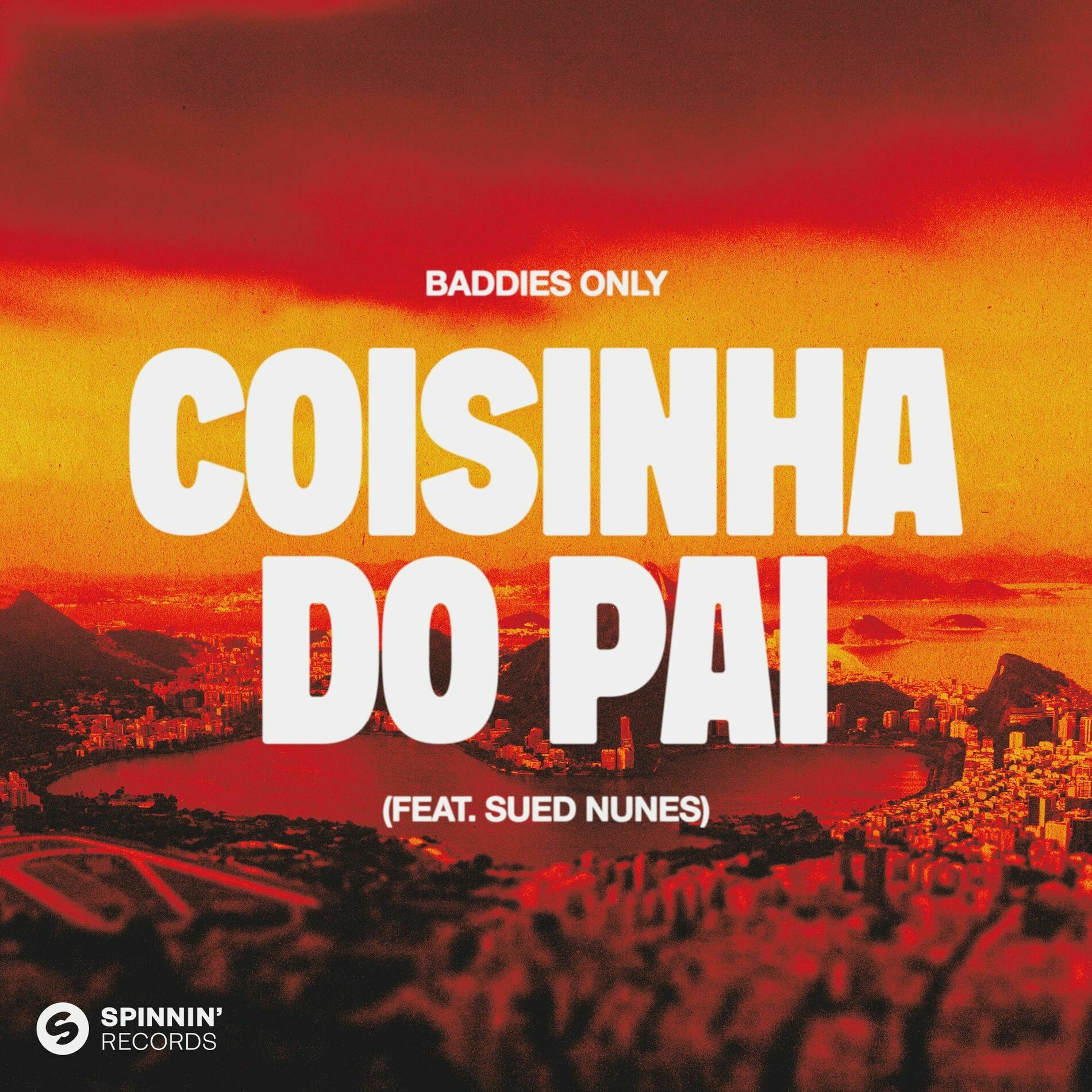 Album cover of Coisinha Do Pai (feat. Sued Nunes)