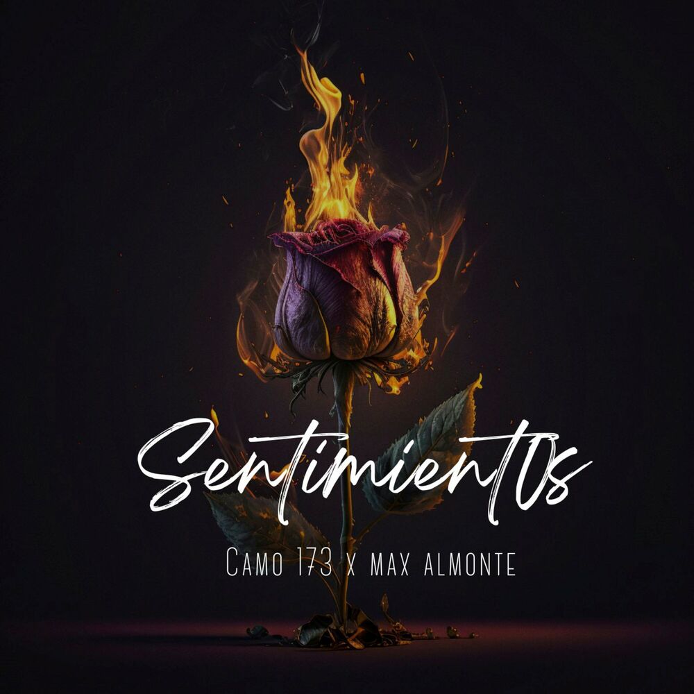 Picture of Sentimient0s