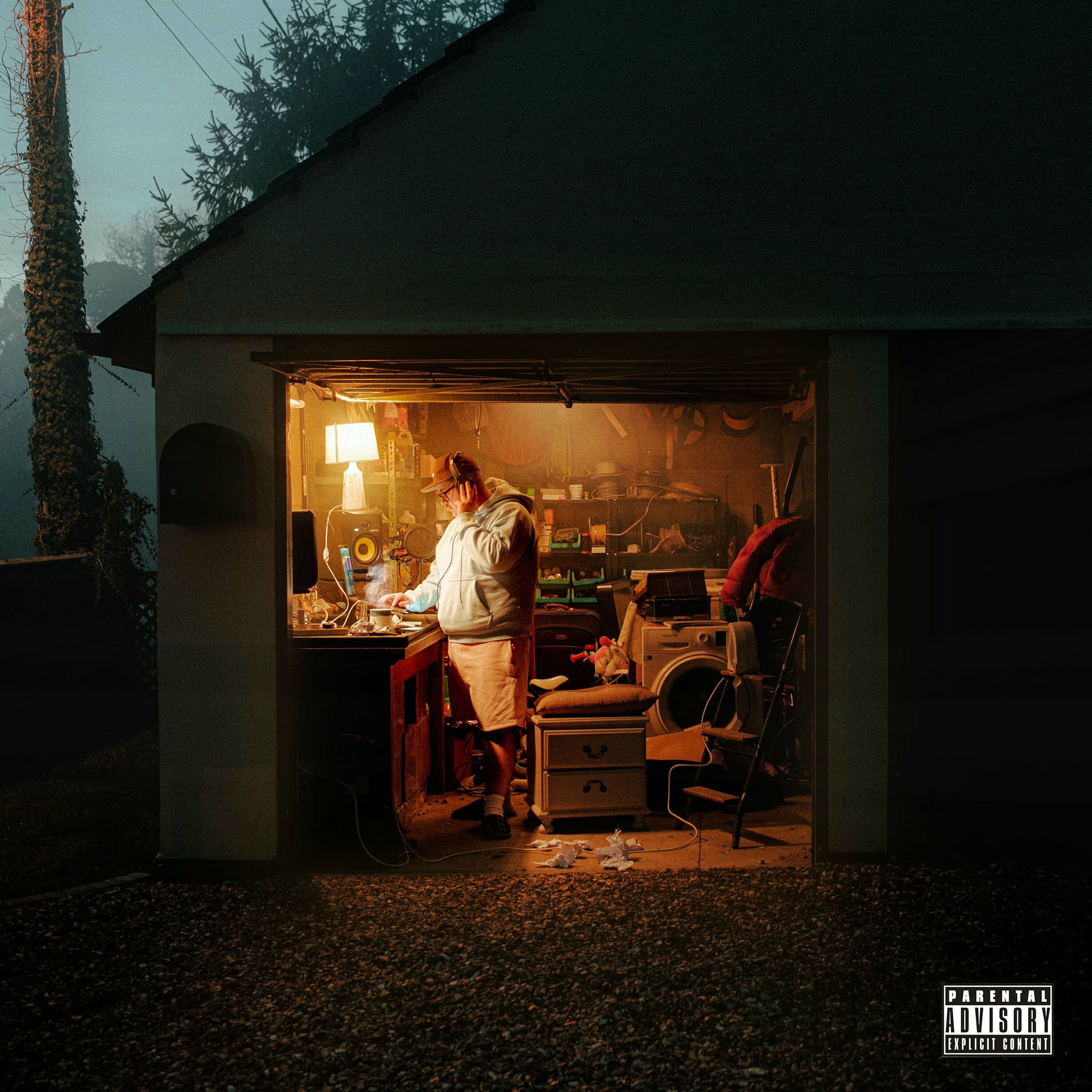 Album cover of DROPPED