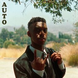 Cover of AUTO
