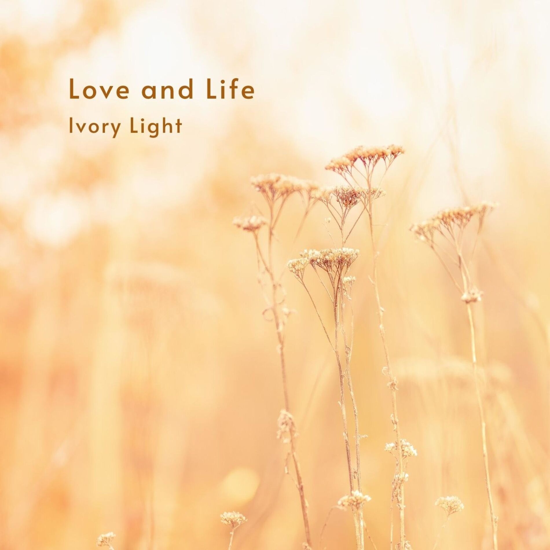 Album cover of Sweet Parting
