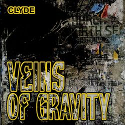 Cover of Veins of Gravity