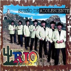 Cover of Sueño de Adolescente