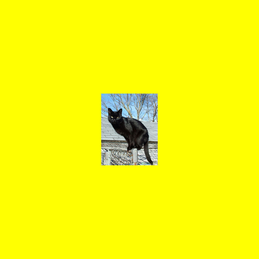 Picture of Panthers On The Roof EP