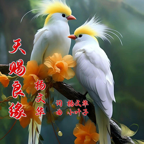 天赐良缘 (对唱版)